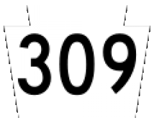 route309